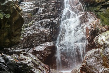 Waterfall in the forest, beautiful natural background, long exposure.