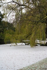 A picture clicked in Copenhagen
