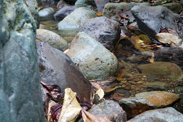 Beautiful natural background of stones and fallen leaves in a stream.