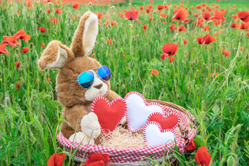 Lapin en peluche en gros plan dans un champs de coquelicots au printemps avec des cœurs dans un panier en osier.