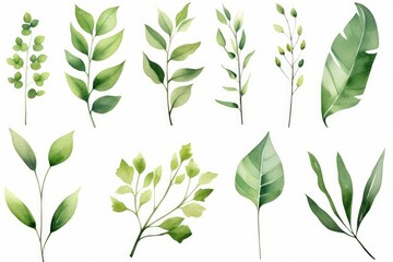 Set of watercolor green leaves elements. Collection botanical isolated on white background suitable for Wedding Invitation, save the date, thank you or greeting card, Generative AI - obrazy, fototapety, plakaty