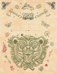 Angry bear head. Aggressive grizzly frame. Old paper vector. Cover page template. Wild animals vertical background