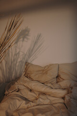 Bedroom concept. Comfortable bed with crumpled beige bed linens, pillows, dry grass. Sunlight...