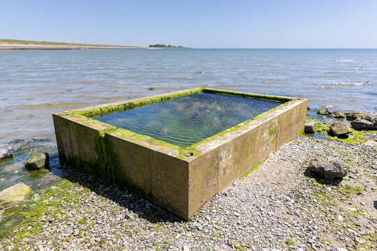 Een getijdenbak is een betonnen bak die zodanig is geplaatst dat het zeewater bij hoogwater in de bak stroomt en bij laagwater de bak droog valt. 