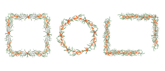Set of frames with sea buckthorn berries. Sandthorn, sallowthorn. Ripe orange berries, green leaves. Horizontal, circle frame, wreath. Watercolor illustration for postcard, package. Space for text