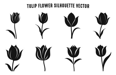 Tulip Flower Silhouette Vector Set, Tulip Flowers Silhouettes black Clip art Bundle