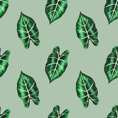 Watercolor realistic tropical seamless pattern illustration of Alocasia leaf isolated on white background. Beautiful botanical hand painted floral elements. For designer