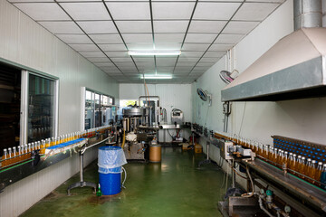 An automated bottling line in a large factory fills transparent bottles with organic basil or chia...