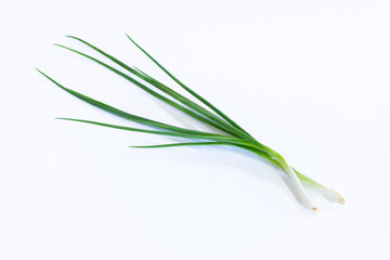 A fresh spring onion on a white background