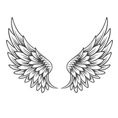 wings isolated vector art illustration design