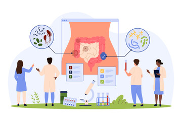 Bad and good bacteria in human intestines, infographics vector illustration. Cartoon tiny people check gastrointestinal system on anatomy chart, digestive tract with lactobacillus and campylobacter