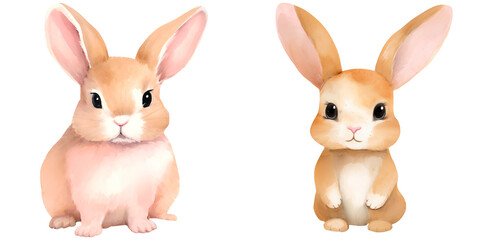 rabbit in watercolor on a transparent background