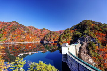Fototapeta na wymiar 川俣湖の秋