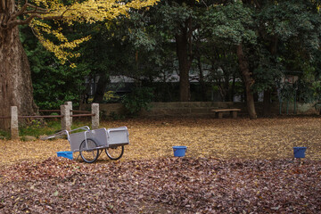 東京赤坂にある氷川神社の境内で落ち葉焚き