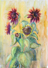 decorative sunflowers in the sun - 690984554