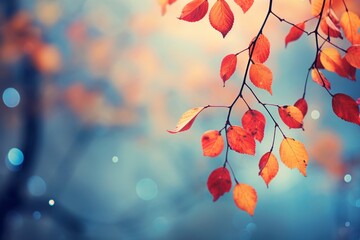 Vibrant autumn leaves hanging from tree branches, their colors blending into a bokeh-filled canvas in the background.