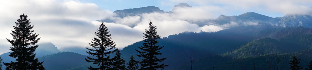 mountain view forest landscape Poland Zakopane