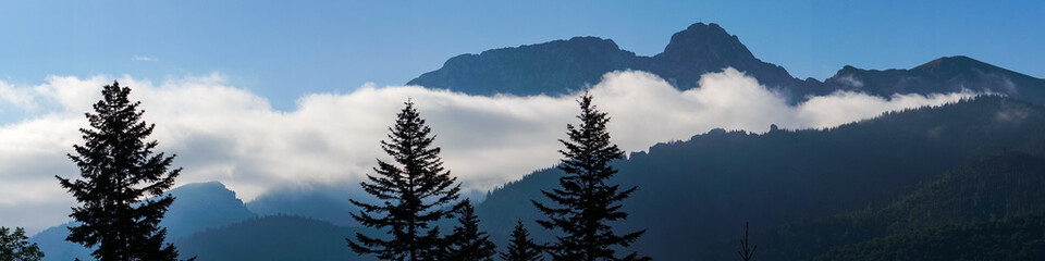mountain view forest landscape Poland Zakopane © Андрей Трубицын
