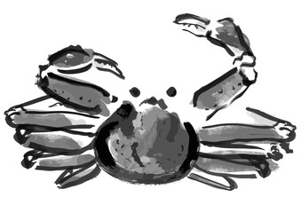 ズワイガニ和風手描きイラスト（モノクロの墨絵）