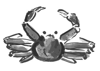 ズワイガニ和風手描きイラスト（モノクロの墨絵）