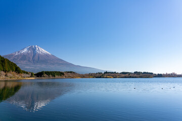 田貫湖・湖畔から眺める晩秋の富士山 静岡県 富士宮市