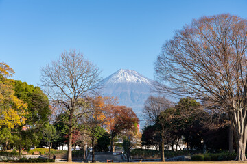 富士市中央公園から見る晩秋の富士山 静岡県 富士市