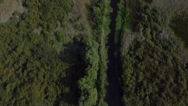Beautiful nature ecosystem with small pond, lake with blue sky and forest and land in the distance in national park Obedska bara seen from aerial drone
