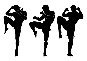 Thai boxing . Self-defense art on white background . martial arts body-vector.silhouette of a person - obrazy, fototapety, plakaty