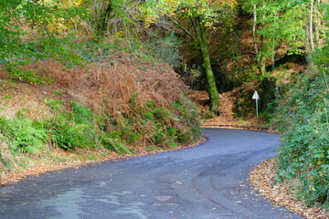 Fototapeta na wymiar Dangerous road bend in rural countryside in autumn