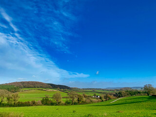 Fototapeta premium Devon fields near Woodbury Common in Devon