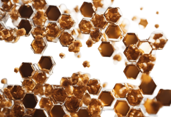 Honeycombs isolated on transparent or white background