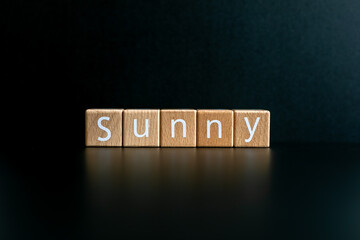 Obraz premium Wooden blocks form the text 