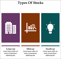 Three types of stocks - Large cap, Mid cap, Small cap. Infographic template with icons