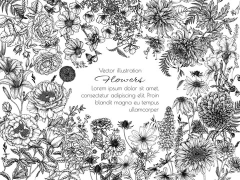Vector floral frame. Peony, rose, iris, lupina, lily, calendula, rudbeckia, chrysanthemum, zinnia, cosmos, California poppy, dahlia, gerbera in engraving style