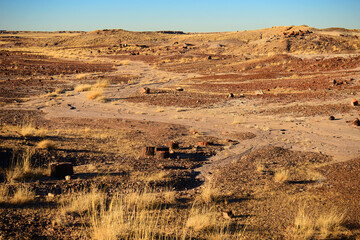 Rugged and Desolate Landscape Petrified Forest Arizona