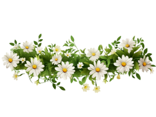 Floral garland with twigs of green grass with daisy flowers isolated on  transparent background