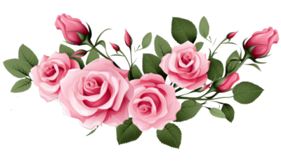 pink roses bouquet on transparent background