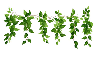 Green leaves in natural line garland isolated on transparent background 