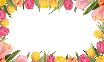 frame of colorful tulips on transparent background