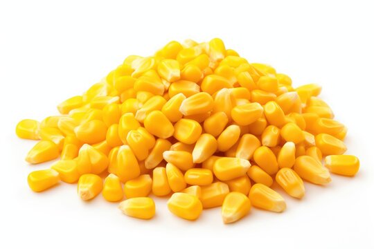 Corn seeds isolated