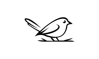 bird on a branch