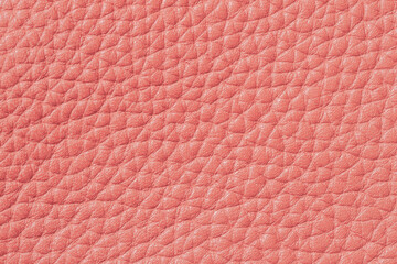 Fototapeta premium Genuine grainy leather texture closeup, peach color, trendy background