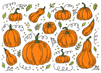 Pumpkin. Flat color icon set. Thanksgiving design. Autumn pumpkin.