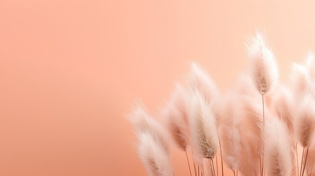 An elegant and serene essence of minimalism, featuring delicate dried bunny tail grass in a soft hue, set against a clean, neutral background with ample copy space for text.