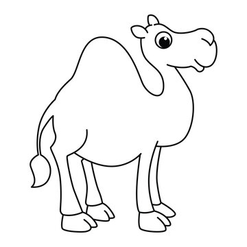 Funny camel cartoon for coloring book.
