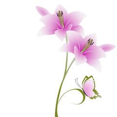 Floral background with lily flowers and butterfly on a white background.