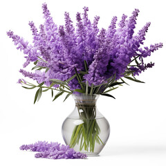 Fresh lavender flowers in a vase with water isolated on transparent background. Generative AI