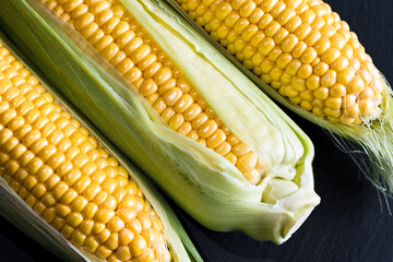 three corn cobs on a black baclground, close-up