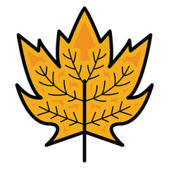 Leaf icon design, illustration design