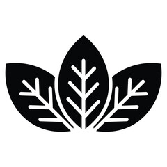 Leaf icon design, illustration design